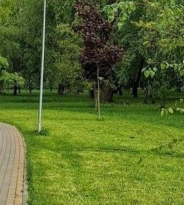 Морозиво, кава й атракціони: у Львові виставили локації в парках на аукціони