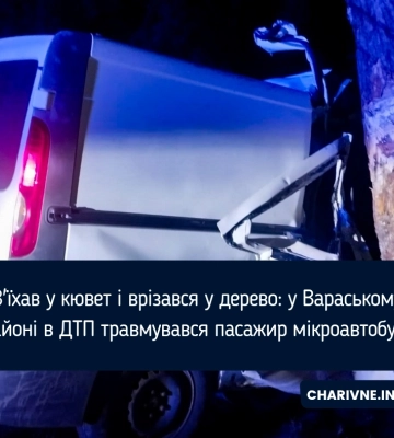 З'їхав у кювет і врізався у дерево: у Вараському районі в ДТП травмувався пасажир мікроавтобуса