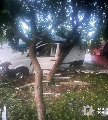 На Житомирщині внаслідок ДТП постраждав водій мікроавтобуса, - поліція