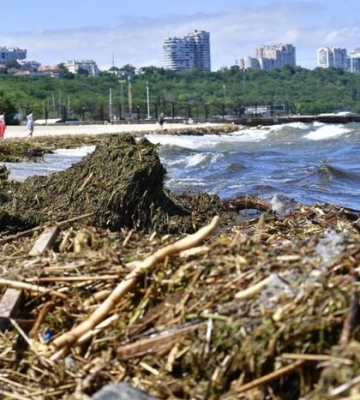 Науковець пояснив, як Чорне море швидко віновилося після підриву Каховської ГЕС
