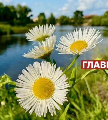 В Україні сильна спека: погода на 29 червня 2026