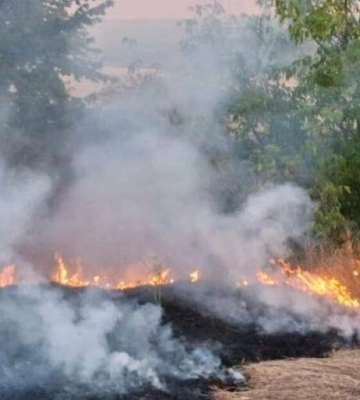 Високі ризики пожеж: як діяти влітку в Одесі, щоб уникнути небезпеки