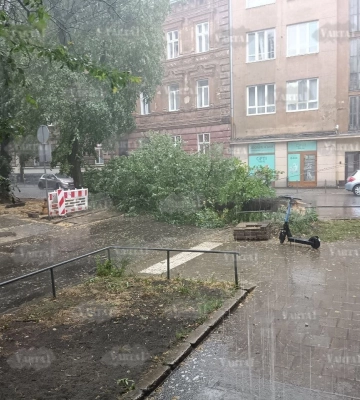 Перші наслідки  страшного буревію у Львові: зірвало дах з Шевченківської районної адміністрації, дерево впало на тролейбус, - ФОТО,&amp;hellip;