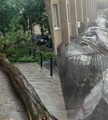 Повалила дерева та знесла частину даху: Львів після рекордної спеки накрила страшна негода
