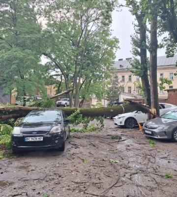 Негода у Львові зірвала дах з райадміністрації, одне з дерев впало на тролейбус