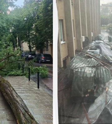 Повалені дерева та зірваний дах адміністрації: Львів накрила потужна гроза