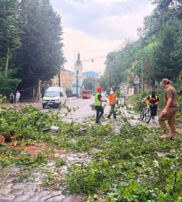 Повалені дерева та побиті автівки. Мер Львова показав наслідки негоди