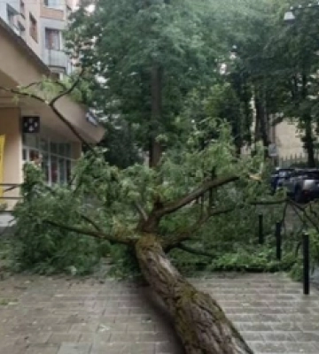 Львів затопило після зливи: негода йде на Чернівці