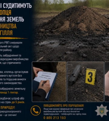 За забруднення земель під час виробництва деревного вугілля судитимуть юнака з Рівненщини
