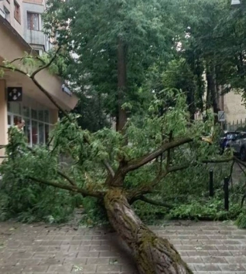 Негода у Львові: блискавка уразила дівчинку, в місті повалені десятки дерев (ВІДЕО)