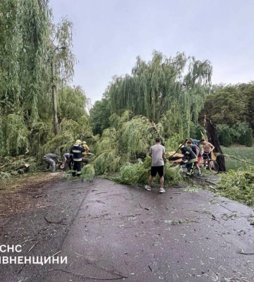 Негода на Рівненщині: рятувальники двічі прибирали повалені дерева з доріг