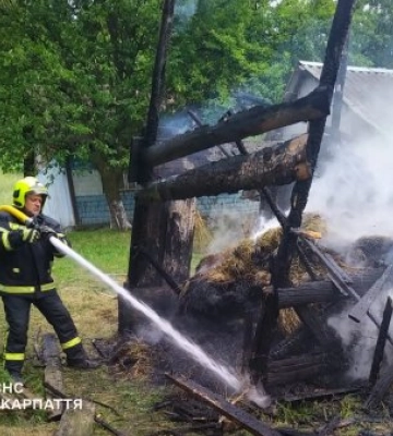 Закарпатський блокбастер: під Раховом гасили «золоте» сіно, поки корови молилися, а діти жували попкорн