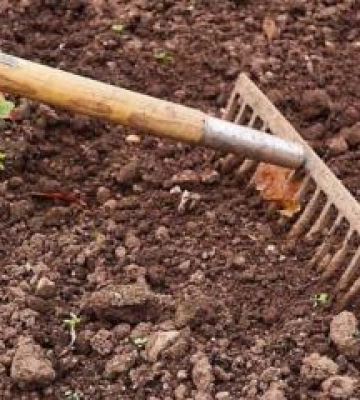 Полтавщина отримала 48 балів у рейтингу родючості ґрунтів України