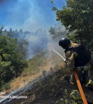 ДСНС повідомила про 20 пожеж на Миколаївщині: горіли сухостій, будинки та господарські споруди