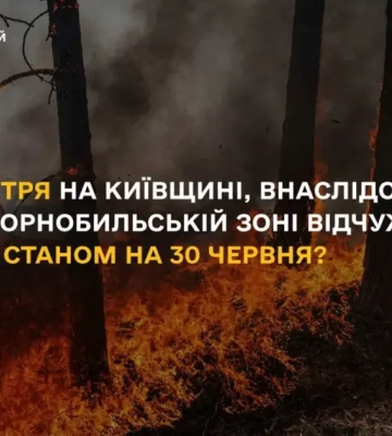 Качество воздуха в Киевской области ухудшилось из-за дыма от пожаров. Синоптики объяснили ситуацию
