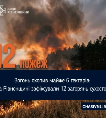 Вогонь охопив майже 6 гектарів: на Рівненщині зафіксували 12 загорянь сухостою