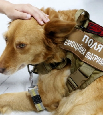 У Львові презентували першу в Україні програму емоційної підтримки ветеранів за участі собак