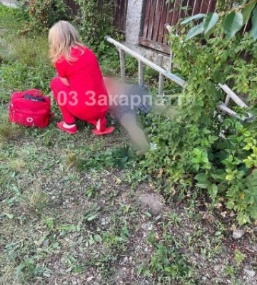 Збирав черешні й не повернувся додому: на Тячівщині трагічно загинув 70-річний чоловік