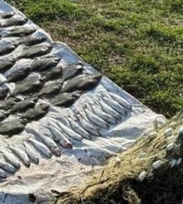 Браконьєрам на Одещині виставили рахунок на понад 4 мільйони за вилов риби