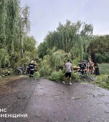 Позривала дахи та повалила дерева: наслідки негоди, яка напередодні прокотилася Рівненщиною (ВІДЕО)