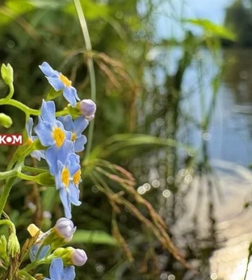 В Україні спека, місцями дощитиме: погода на 1 липня 2026