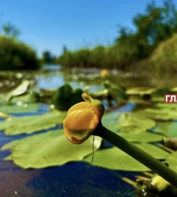 В Україні без опадів: погода на 20 червня