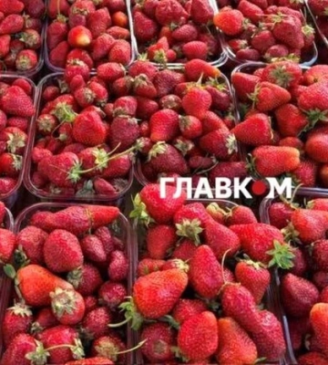 У Києві на вихідних 20-21 травня відбудуться продовольчі ярмарки (адреси)