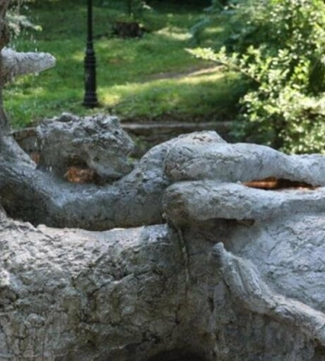У Львові з'явилася нова монументальна скульптура «Викрадення Європи»