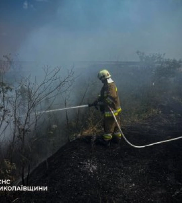 За добу на Миколаївщині ліквідували 27 пожеж на відкритих територіях