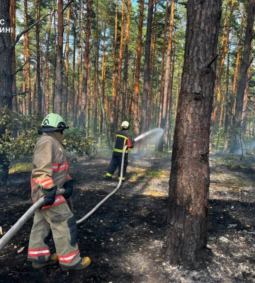 На Волині горіли суха трава, торфовища та лісова підстилка