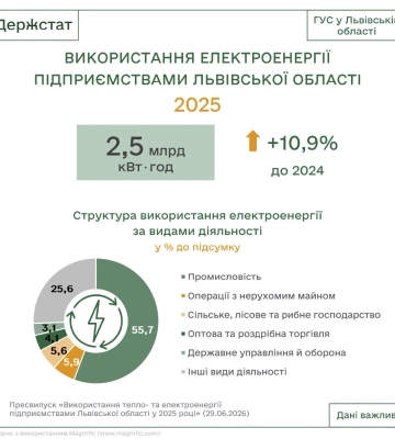 Підприємства Львівщини витрачали забагато електроенергії на виробництво алкогольних напоїв і тютюнових виробів