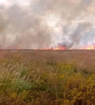 Окупанти спалили майже 2000 гектарів заповідника Асканія-Нова