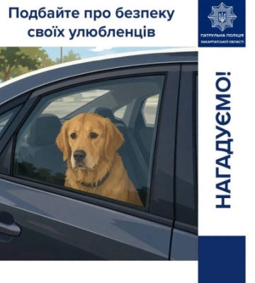 Спека на Закарпатті не щадить нікого: патрульна поліція звернулася до жителів із важливим закликом щодо тварин