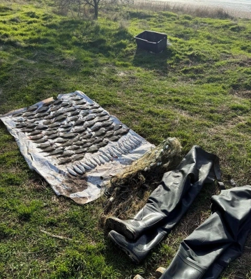 Екологічна інспекція вимагає понад чотири мільйони гривень за браконьєрство на Одещині