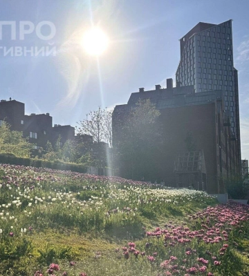 Прогноз погоди у Дніпрі на сьогодні, 2 липня 2026