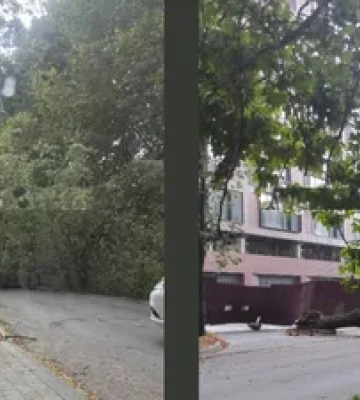 Буревій в Ужгороді: сильний удар стихії паралізував рух однією з головних доріг міста (ФОТО)