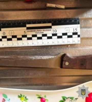 Під час сварки завдав ножових поранень співмешканці - у Миколаєві поліцейські затримали підозрюваного у скоєнні злочину