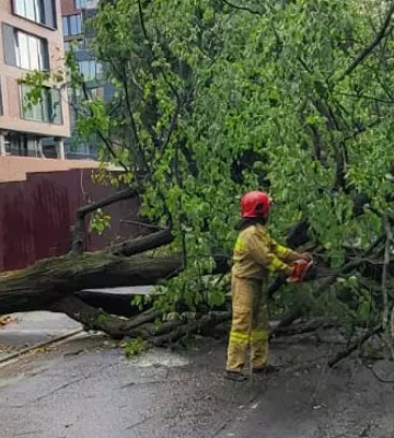На Закарпатті надзвичайники розчищали автошляхи від повалених негодою дерев