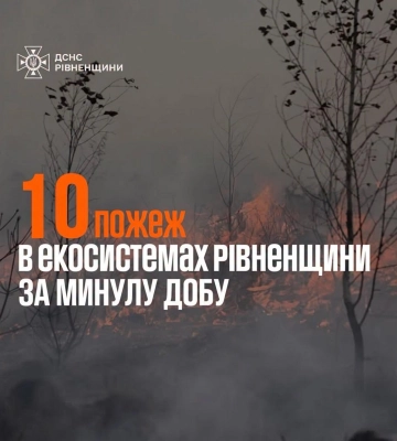 На Рівненщині за добу сталося 10 пожеж в екосистемах: вигоріло понад два гектари землі