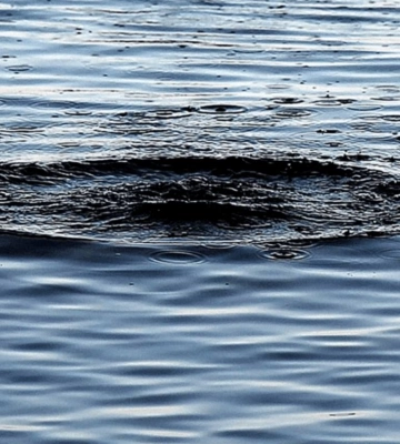 21 людина загинула на водоймах Львівщини від початку року: як убезпечити себе під час відпочинку