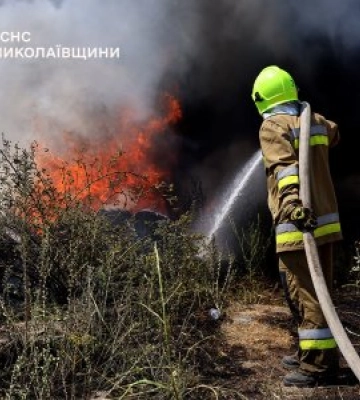 Протягом 2 та в ніч проти 3 липня на Миколаївщині виникло 39 пожеж