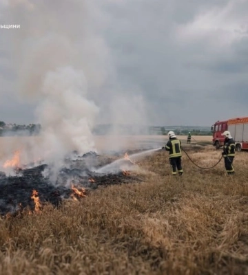 Удар блискавки підпалив поле на Тернопільщині — вигорів гектар пшениці