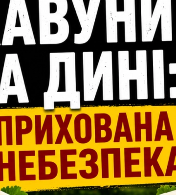 Сезон кавунів на Одещині: як обрати безпечний і не отруїтися