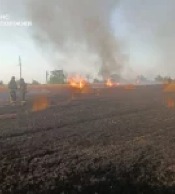 В Україні за добу зафіксували 212 пожеж в екосистемах, частина з них через атаки РФ