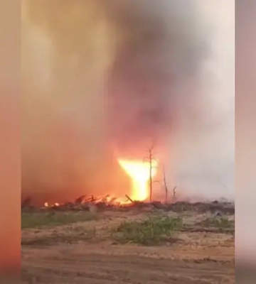 Пожежники показали вогняний смерч у Чорнобильській зоні