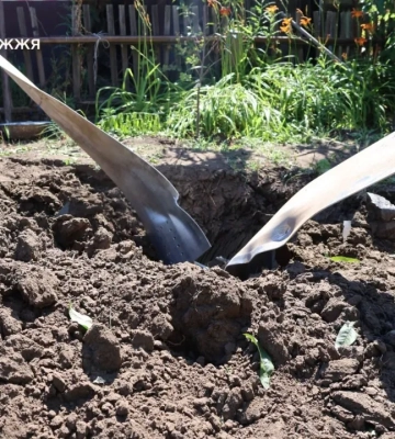 У Запоріжжі знешкодили російську авіабомбу, що впала біля житлового будинку