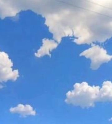 На Полтавщині планують збудувати одну з найбільших вітроелектростанцій Європи