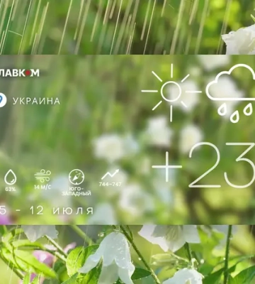 Неделя в Киеве начнется без жары, но погоду испортит ветер
