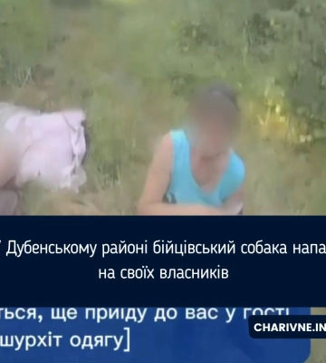 У селі на Рівненщині бійцівська собака покусала господарів (ВІДЕО)