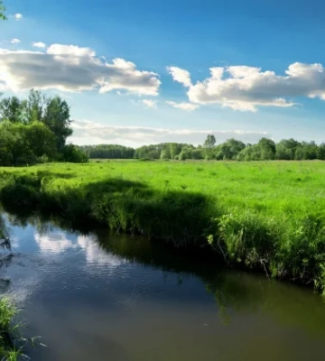 Суд у Черкасах повернув державі землю водного фонду, незаконно передану під дачне будівництво